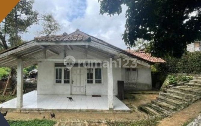 Rumah Besar Layak Huni Dijual Via Lelang Asri.