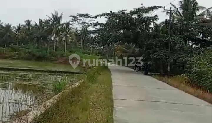 Tanah Kavling Siap Bangun Untk Pabrik &industri Di Zona Industri 1