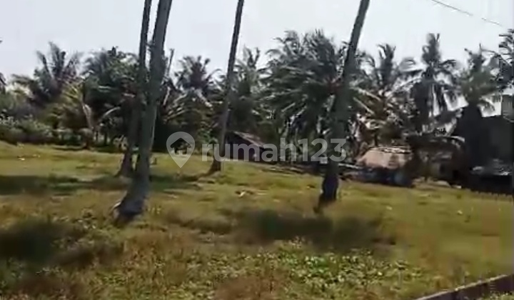Tanah Kavling Siap Bangun Cocok Untuk Hotel Villa Pinggir Pantai 2
