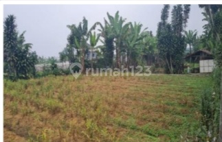 Rumah Mewah Di Jual Via Lelang Ada Kebun Pribadi  2
