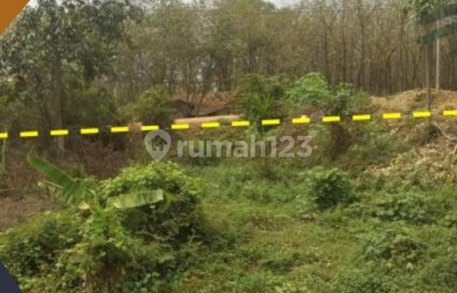 Tanah Kapling Siap Bangun Untuk Perumahan Dan Vangunan Lainnya Tanah Kapling Siap Bangun Untuk Perumahan Dan Vangunan Lainnya