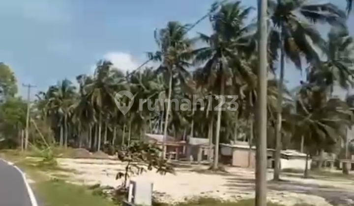 Tanah Kavling Siap Bangun Hotel atau Villa Pinggir Pantai Tanah Kavling Siap Bangun Hotel atau Villa Pinggir Pantai