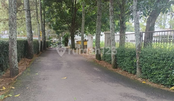 Tanah Murah Siap Bangun di Komplek Unpad Cigadung Dago Bandung