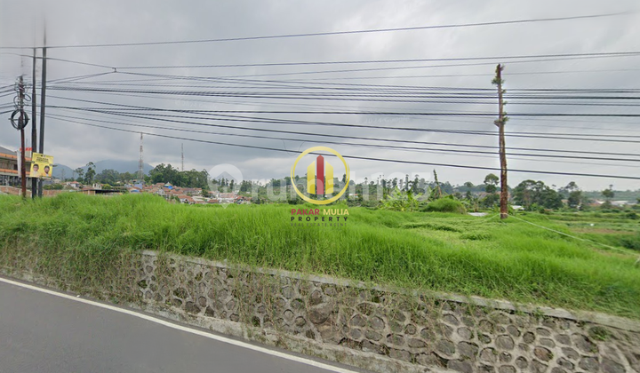 Tanah MURAH 9315 m2 SHM MAINROAD Ciwidey Bandung Tanah MURAH 9315 m2 SHM MAINROAD Ciwidey Bandung
