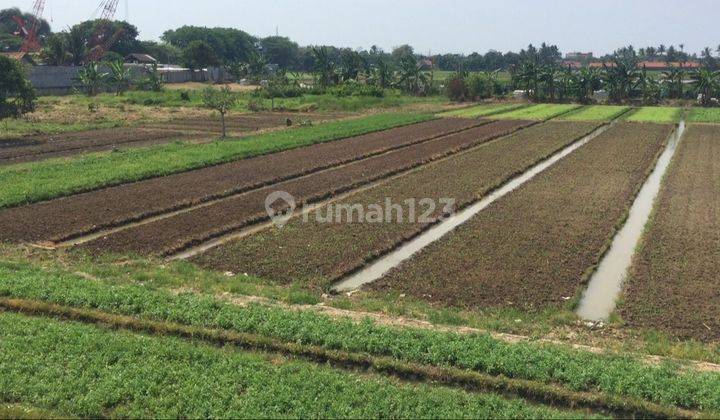 Dijual Cepat Kavling Tanah Strategis Di Jl. Raya Kampung Melayu 2