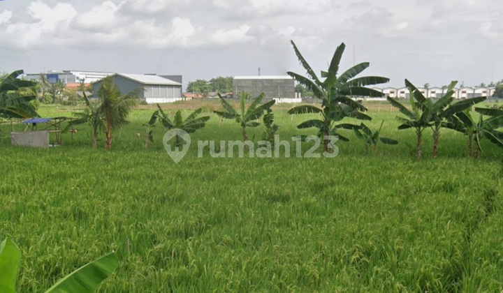 Dijual Cepat Tanah Sawah 5500 M2 Dekat Bandara Soetta dan Pik 2 Dijual Cepat Tanah Sawah 5500 M2 Dekat Bandara Soetta dan Pik 2