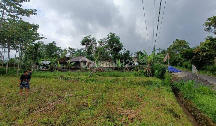Tanah Murah Lokasi Petang Badung Cocok Pertanian (KCR24) 1
