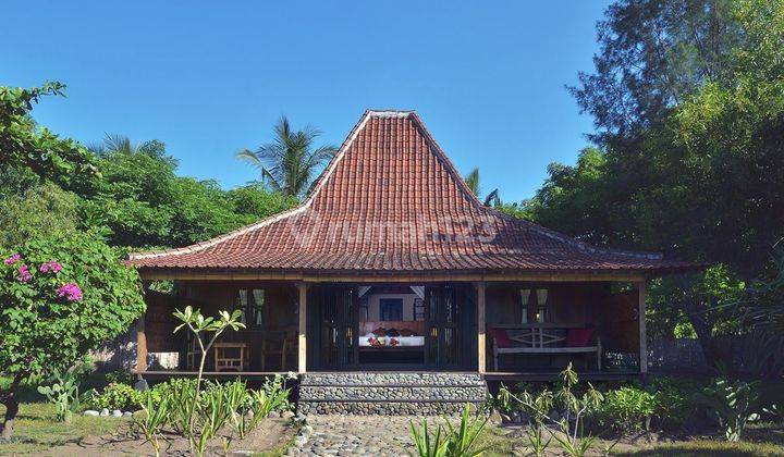 Resort Pinggir Pantai di Gili Trawangan Lombok (WID) 10