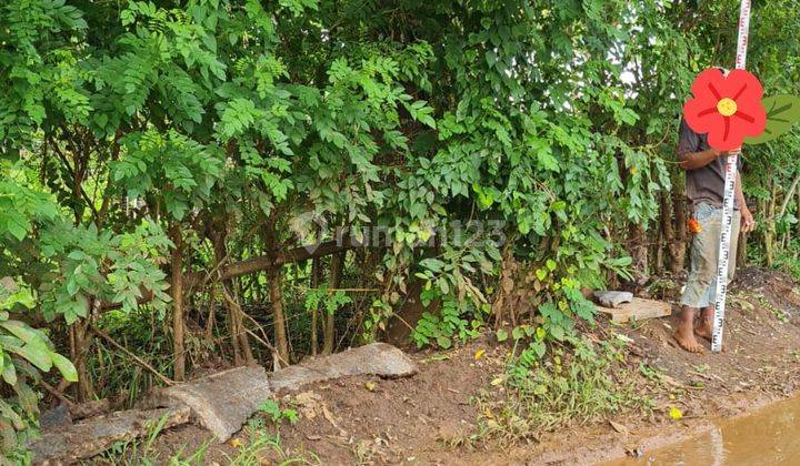 Tanah Sewa Jangka Panjang di Bingin Pecatu 3