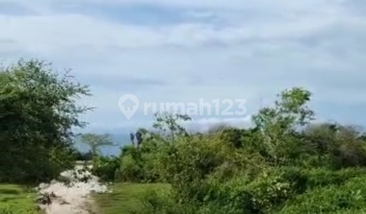 Tanah Tebing View Laut di Suluban Pecatu 1