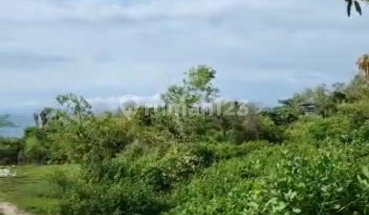 Tanah Tebing View Laut di Suluban Pecatu 8