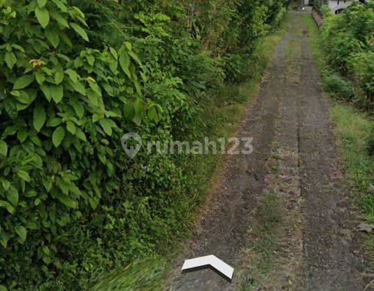Jual Cepat Tanah Murah di Negara (aguk) 1