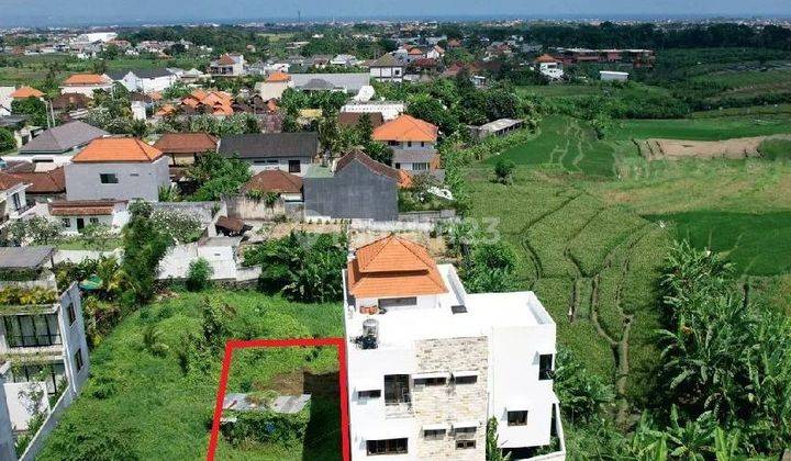 Land for sale with rice field views in Canggu  1