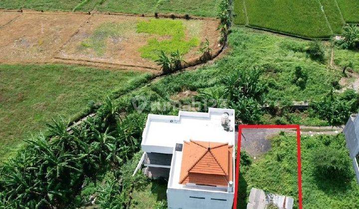 Land for sale with rice field views in Canggu  2