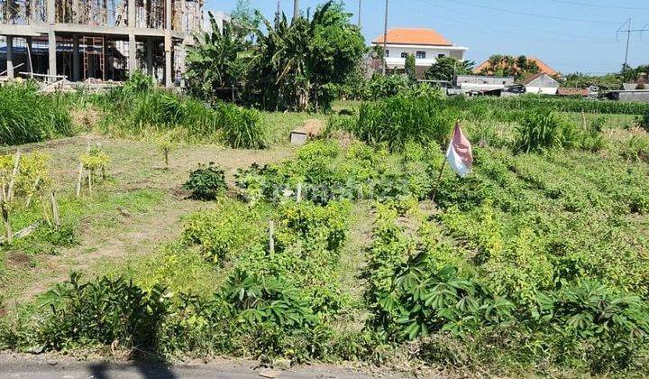 Potential Land for Rent Near Sanur Independent School 2