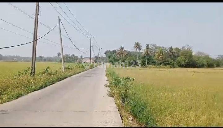 Di Jual Lahan Untuk Perumahan Di Cisoka. Tangerang  1