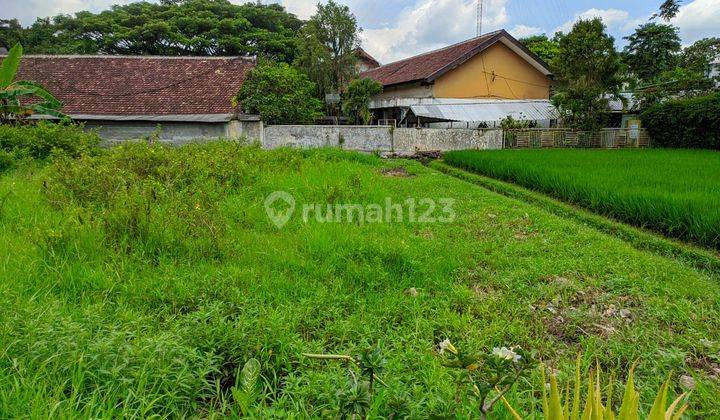 Tanah Kosong Luas 506 M² Shm Dekat Smkn 11 Sukun 2