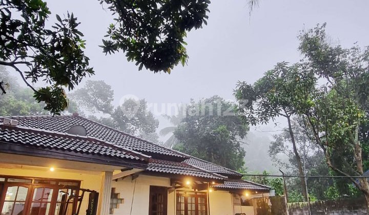 Dijual Villa dan Kebun Buah Produktif di Lawang