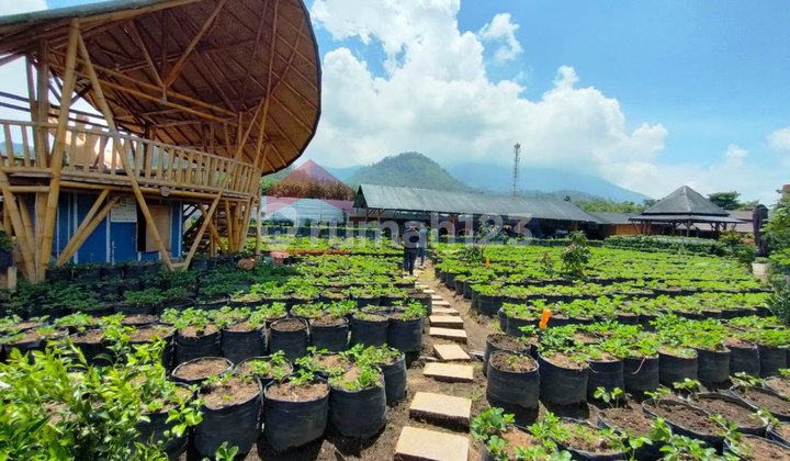 Spacious Business Space In Pujon High Tourist Visitor Potential