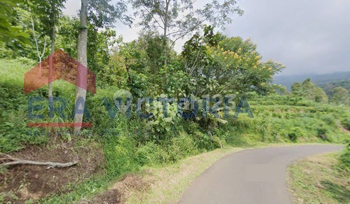 Tanah Luas Harga Murah Cocok untuk Perkebunan atau Peetanian