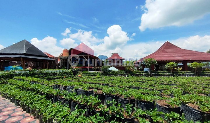 Active Business Space in Batu Semi-Furnished in a Busy Tourist Area Active Business Space in Batu Semi-Furnished in a Busy Tourist Area