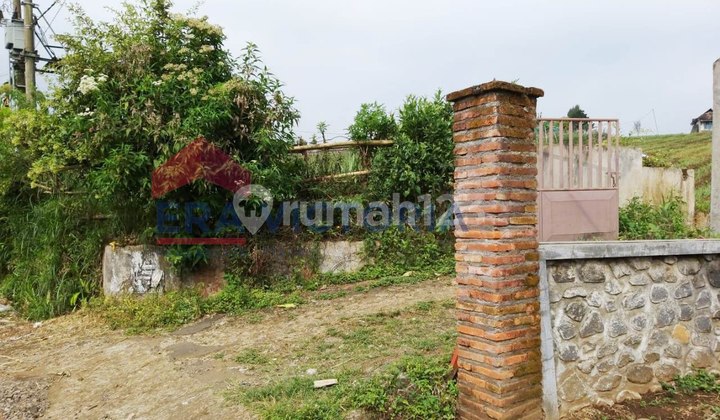 Tanah Dijual Di Tutur Nongkojajar Pasuruan