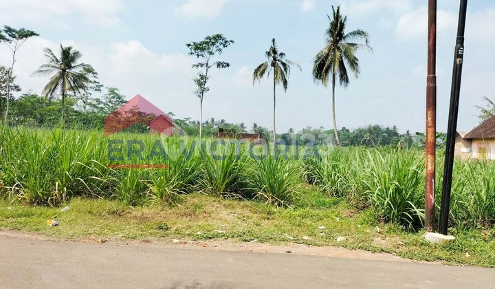 Land For Housing in Gelanggang Village, Pakisaji, Malang