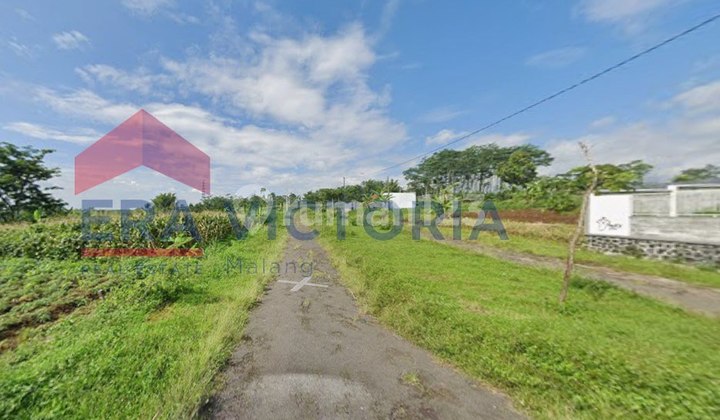 Tanah Murah Dijual di Kebun Teh Lawang Malang