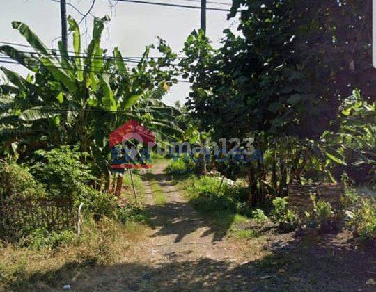 Dijual Tanah Cocok Untuk Usaha Tambak, Posisi di Pesisir Pantai Pasir Putih 1