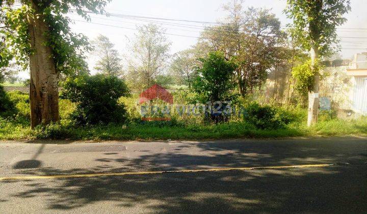 Tanah Di Poros Raya Kediri - Kertosono, Turus, Gampengrejo 1