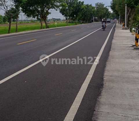 Negotiable, located on the Surabaya-Madiun main road, very strategic, suitable for any business.