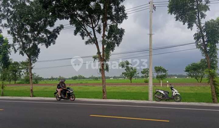 Negotiable, located on the Surabaya-Madiun main road, very strategic, suitable for any business.