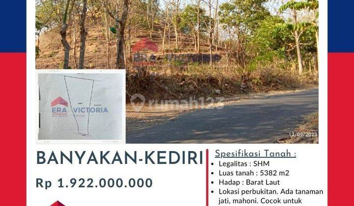 Tanah berbukit kadungan batu bisa dibuka usaha galian c atau perkebunan 1