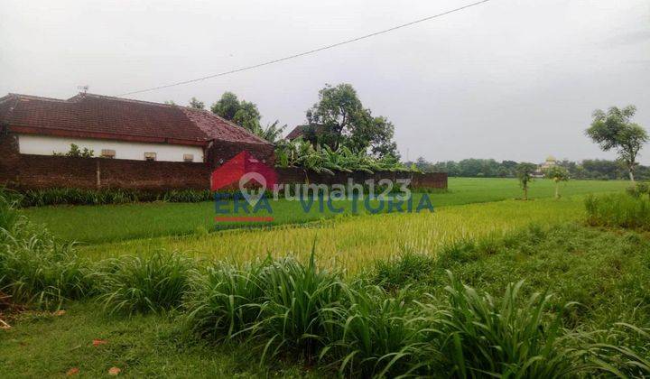 Rumah + Sawah Dijual Terletak di Jalan Raya 2