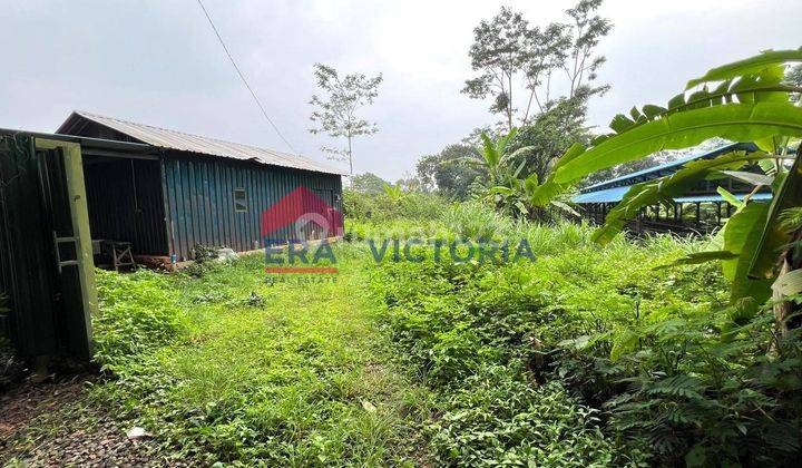 DIJUAL Tanah + Gudang + Kandang Ayam di Trawas Mojokerto Siap Untuk 3000 Ekor Terdapat pagar Besi, Tandon, dan Tempat Makan Ayam dan Minum Ayam Sudah Tersedia 1