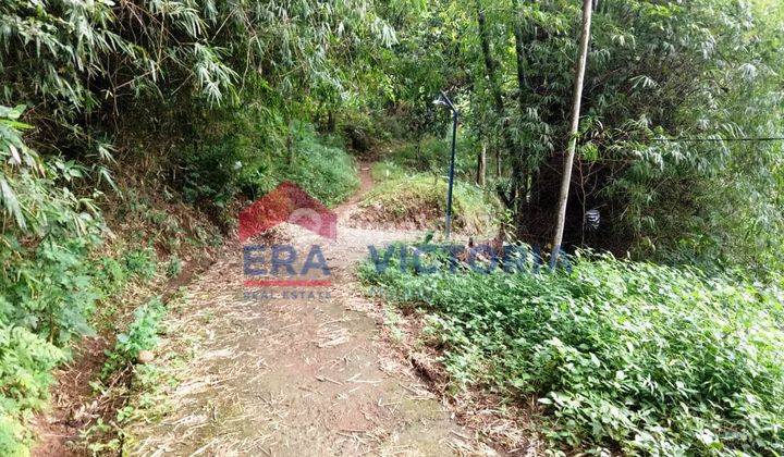 Tanah DIJUAL Di Desa Selopanggung Kec. Semen Kab. Kediri ada tanaman pohon jati siap panen dekat Kantor Desa, Sekolah Dasar 1