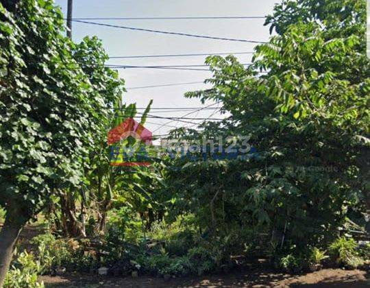 Dijual Tanah Cocok Untuk Usaha Tambak, Posisi di Pesisir Pantai Pasir Putih 2