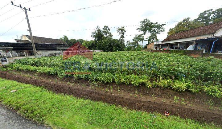 Dijual Tanah Dekat Kantor Camat, Sma Puncu, Psar, Dan Masjid 1