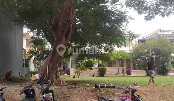 Dijual Kavling Flamboyan Pik 484m Semi Hoek 