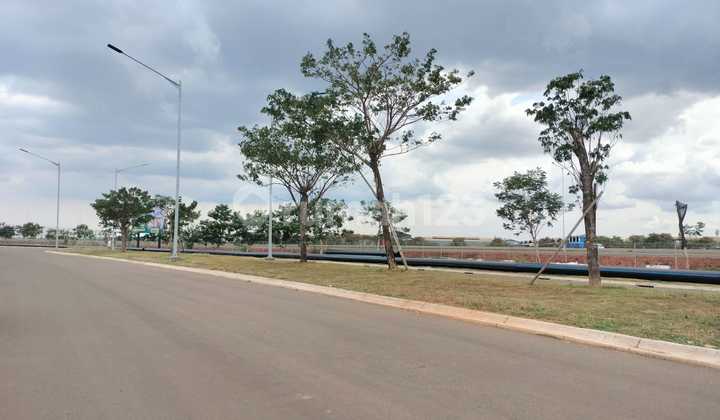 Kavling Komersil Wallstreet Signature Luas 1800m2 Strategis Bagus Kavling Komersil Wallstreet Signature Luas 1800m2 Strategis Bagus