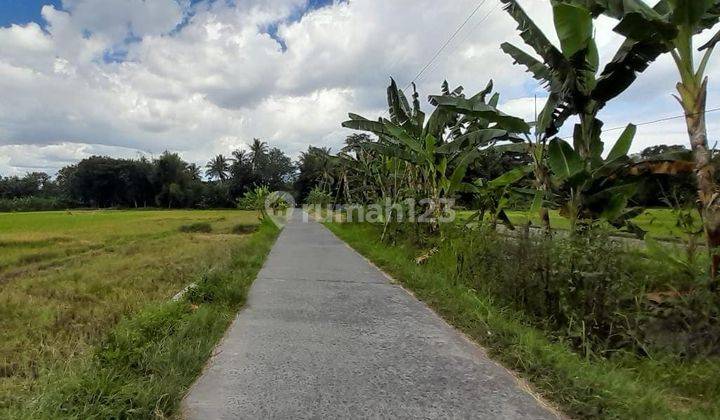 Dijual Tanah Murah Dekat Perumahan Padma Residence Pondok Permai Tamantirto 1