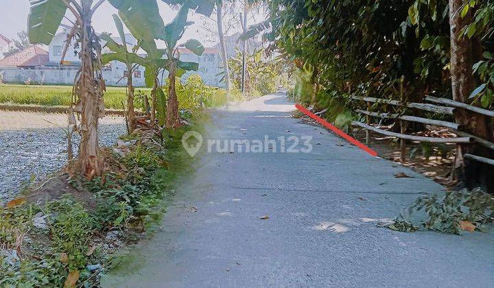 Dijual Tanah Pekarangan Persis Belakang Kampus Umy 1