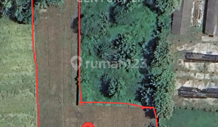 Tanah Bersertifikat Siap Bangun Di Muncar, Banyuwangi Tanah Bersertifikat Siap Bangun Di Muncar, Banyuwangi