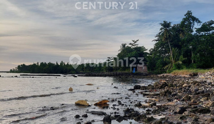 Fast Sale Seaside Land In Manado Fast Sale Seaside Land In Manado