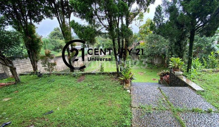 Rumah Dengan Halaman Luas Di Bogor Rumah Dengan Halaman Luas Di Bogor