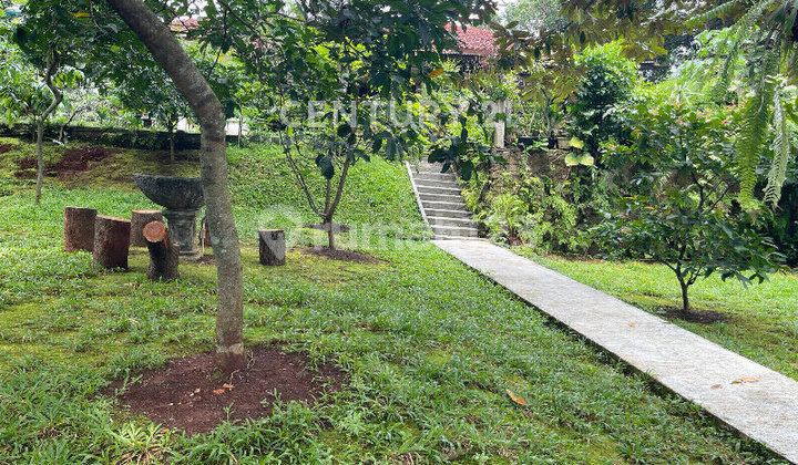 Rumah Asri dengan Halaman Luas di Lenteng Agung 2