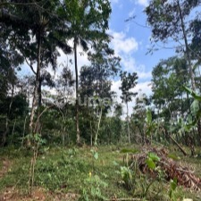 Premium Ready-to-Use Strategic Industrial Land in Salatiga Premium Ready-to-Use Strategic Industrial Land in Salatiga