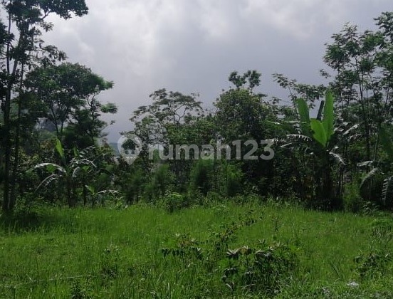 Tanah Eksklusif Cocok Untuk Apa Saja di Randuacir Salatiga