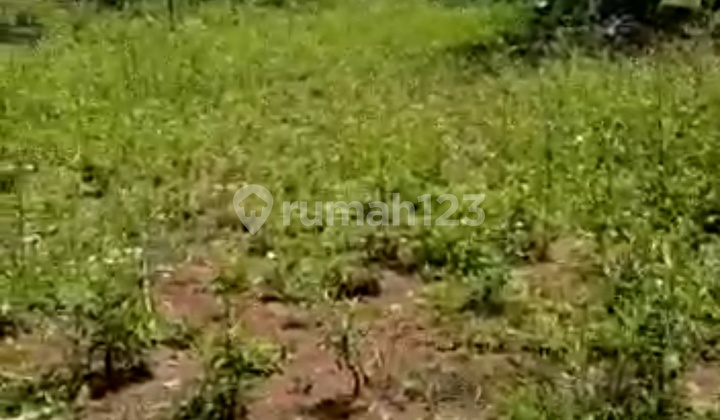 Lahan Yg Cocok Dibangun Kos2an ,Cafe,Resto...Strategis, Dekat dengan Undip dan Dekat Tol 1