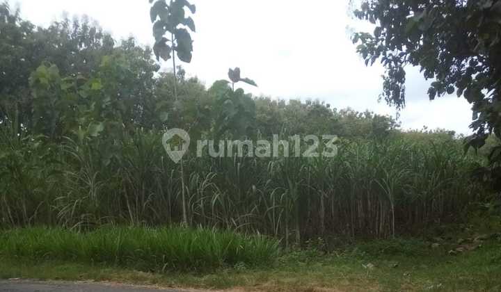 Tanah dg zona industri bisa dibeli min 5Ha 3